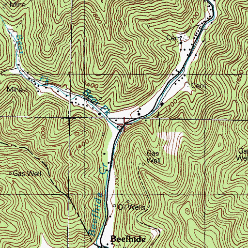 Topographic Map of Bear Fork, KY