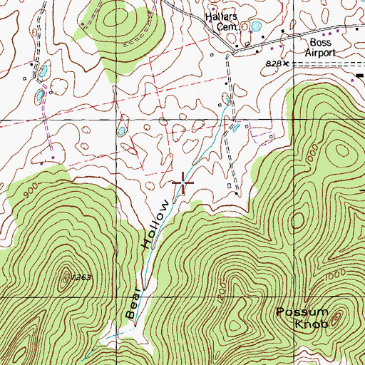 Topographic Map of Bear Hollow, KY