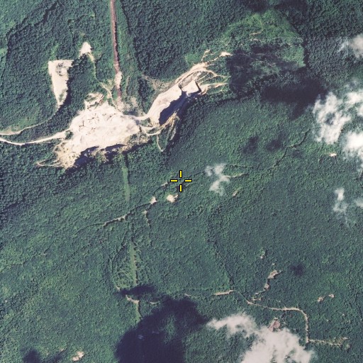 Aerial/Satellite Image of Bear Wallow Gap, KY