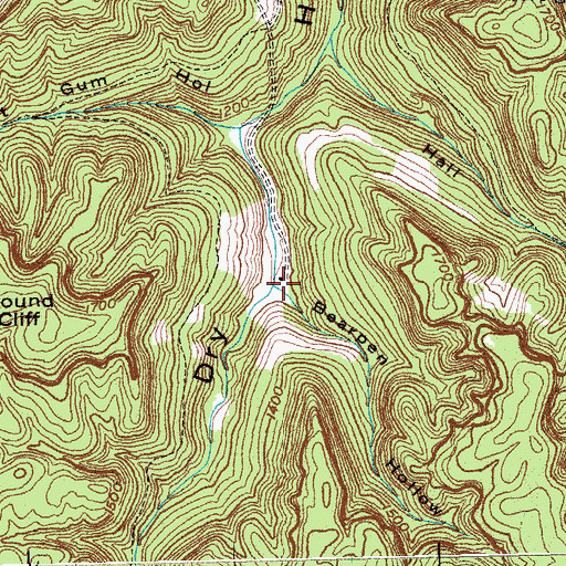 Topographic Map of Bearpen Hollow, KY
