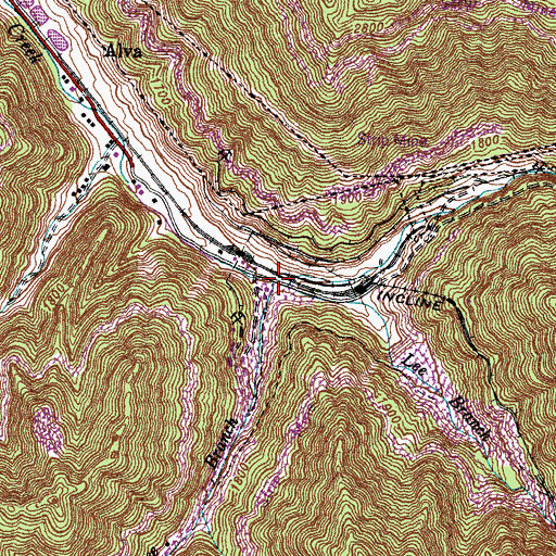 Topographic Map of Beartree Branch, KY
