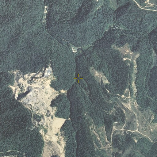 Aerial/Satellite Image of Bearwallow Branch, KY