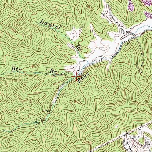 Topographic Map of Bee Branch, KY