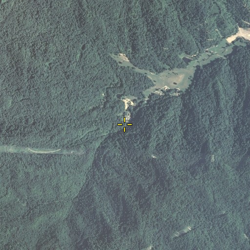 Aerial/Satellite Image of Bee Branch, KY