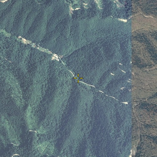 Aerial/Satellite Image of Bee Branch, KY