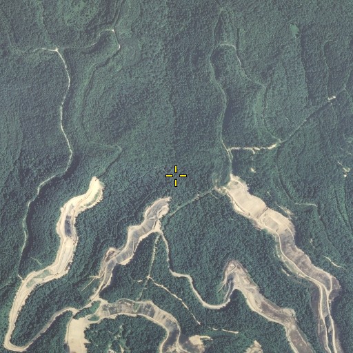 Aerial/Satellite Image of Bee Branch, KY