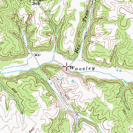 Topographic Map of Bee Tree Branch, KY