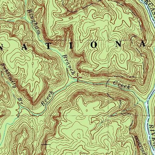 Topographic Map of Beech Bingham Branch, KY