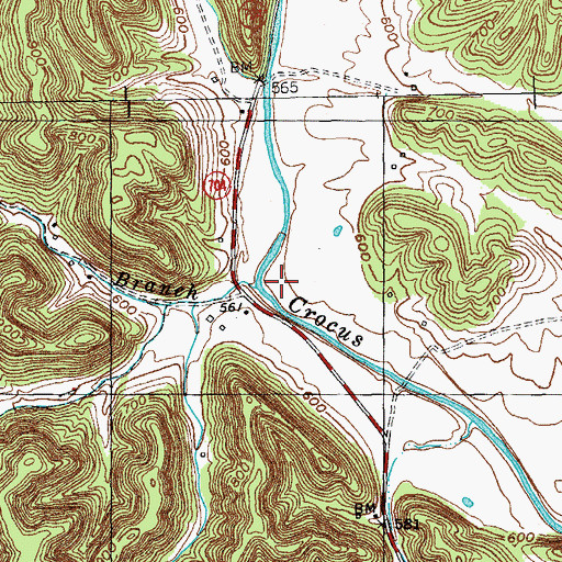 Topographic Map of Beech Branch, KY
