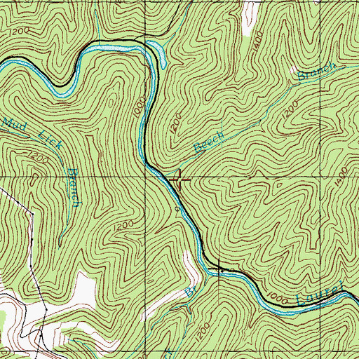 Topographic Map of Beech Branch, KY