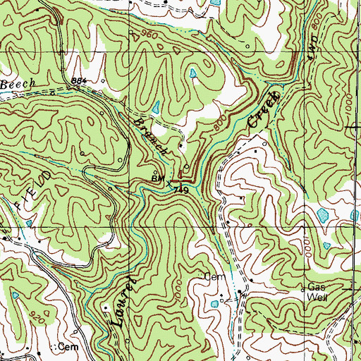 Topographic Map of Beech Branch, KY
