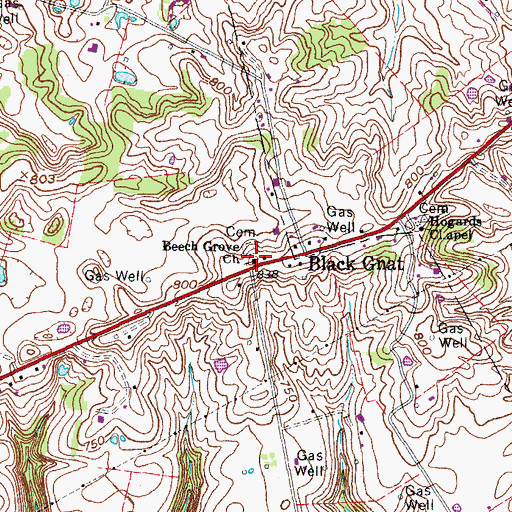 Topographic Map of Beech Grove Church, KY