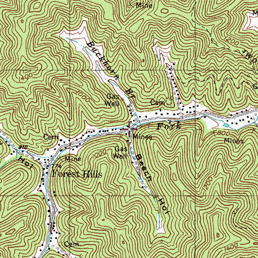 Topographic Map of Beech Hollow, KY
