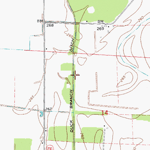Topographic Map of Duck Branch Ditch, AR
