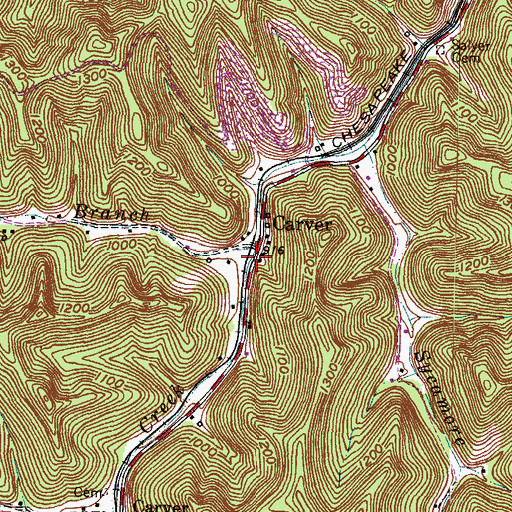 Topographic Map of Beetree Branch, KY