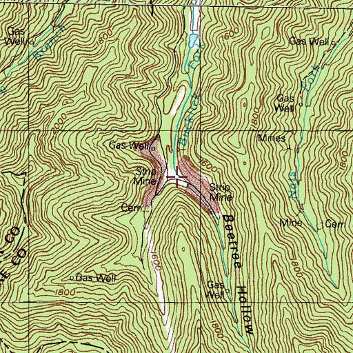 Topographic Map of Beetree Hollow, KY