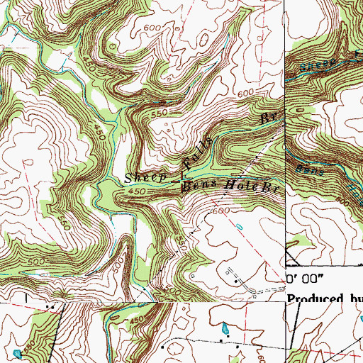 Topographic Map of Bens Hole Branch, KY