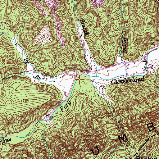 Topographic Map of Berts Branch, KY
