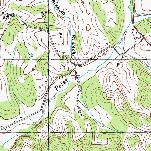Topographic Map of Bethlehem Branch, KY
