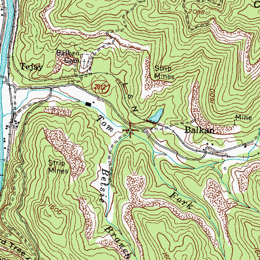 Topographic Map of Betsie Branch, KY