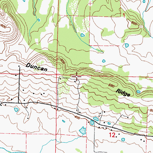Topographic Map of Duncan Ridge, AR