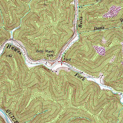 Topographic Map of Betts Mann Branch, KY