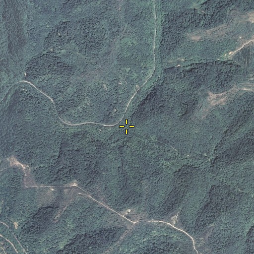 Aerial/Satellite Image of Betts Mann Branch, KY