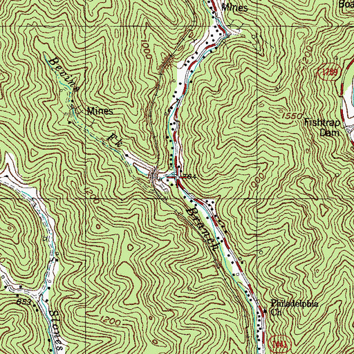 Topographic Map of Bevins Fork, KY