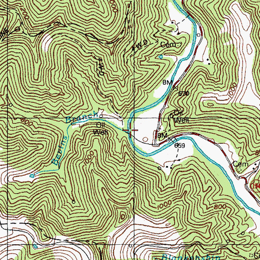 Topographic Map of Bevins Branch, KY