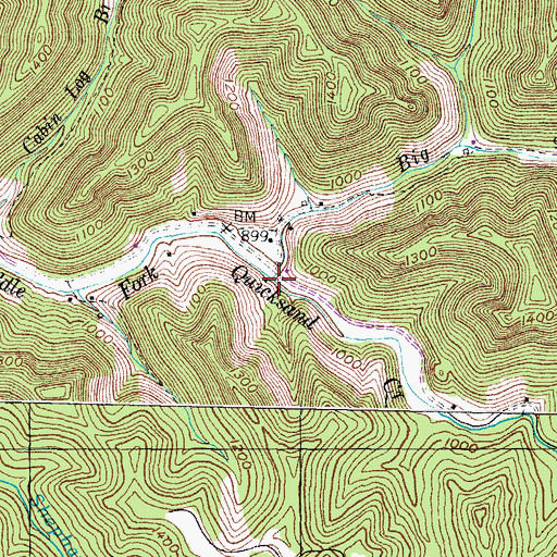 Topographic Map of Big Branch, KY