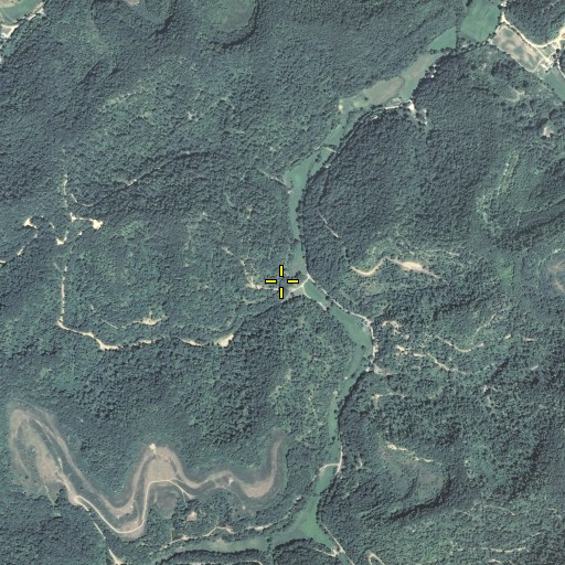 Aerial/Satellite Image of Big Branch, KY