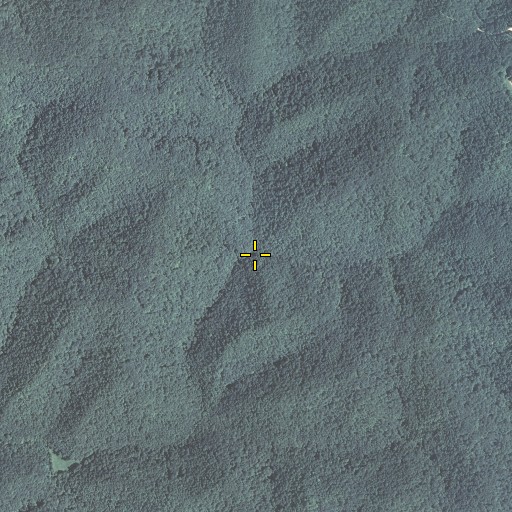 Aerial/Satellite Image of Big Laurel Branch, KY