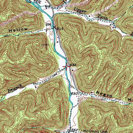 Topographic Map of Big Lick Branch, KY