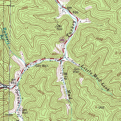 Topographic Map of Big Mud Lick, KY