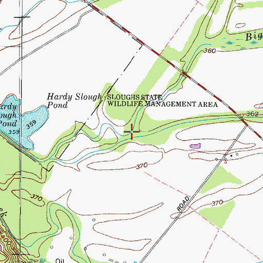 Topographic Map of Big Swan Pond Slough, KY