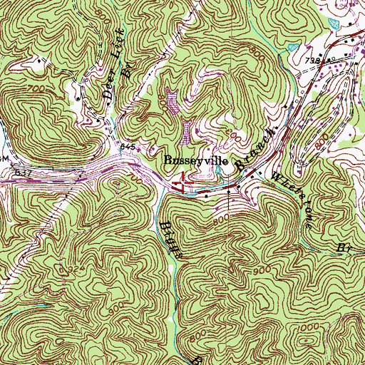 Topographic Map of Biggs Branch, KY