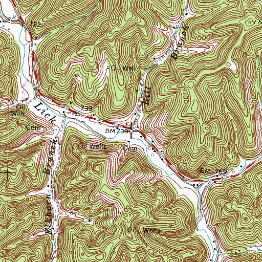 Topographic Map of Bill Branch, KY