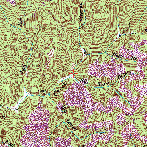 Topographic Map of Bill Mann Branch, KY