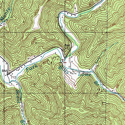Topographic Map of Billy Lowe Branch, KY
