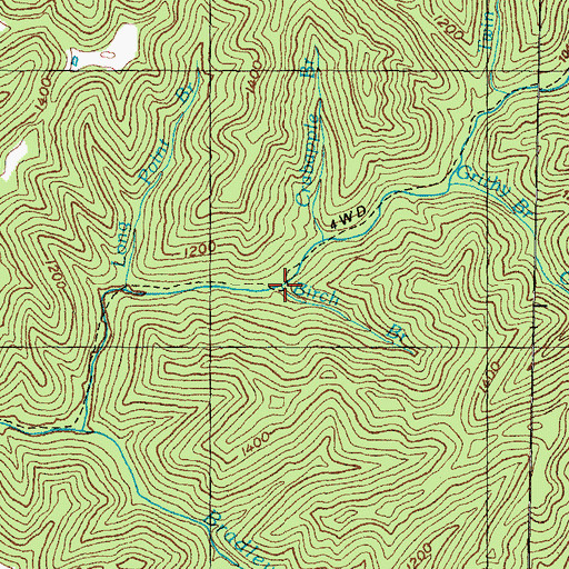 Topographic Map of Birch Branch, KY