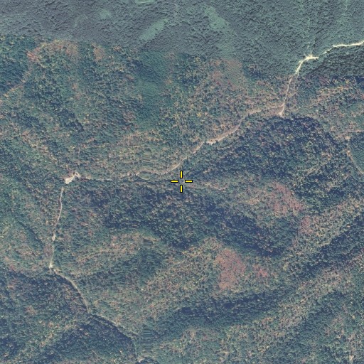 Aerial/Satellite Image of Birch Branch, KY