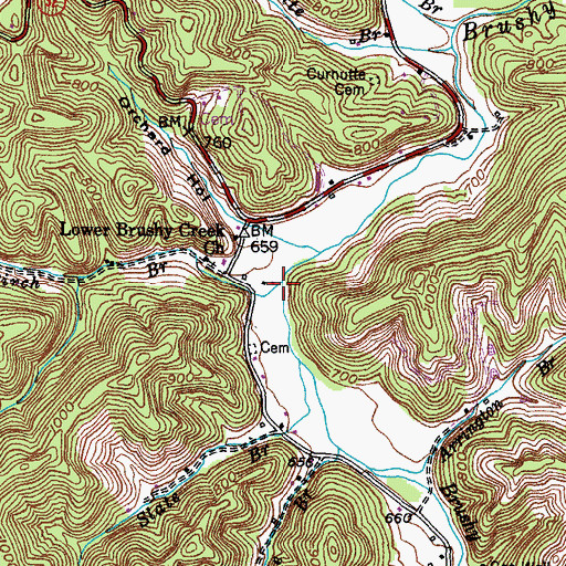 Topographic Map of Birch Branch, KY