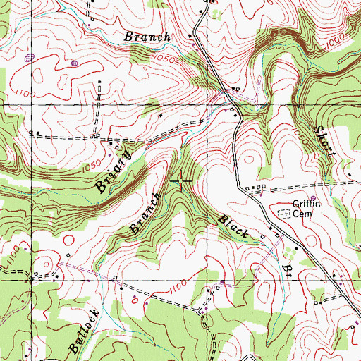 Topographic Map of Black Branch, KY