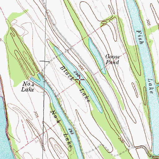 Topographic Map of Black Lake, KY