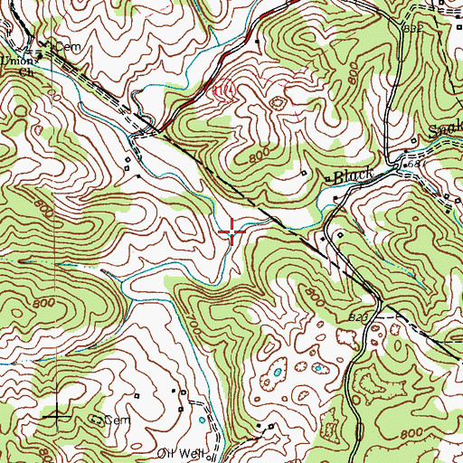 Topographic Map of Black Snake Branch, KY