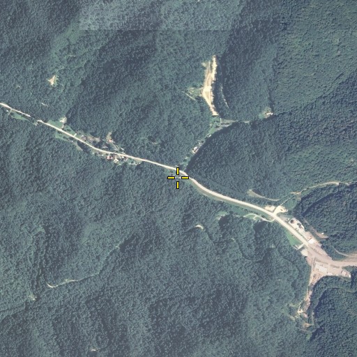 Aerial/Satellite Image of Blackberry Fork, KY
