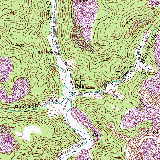 Topographic Map of Blacklick Branch, KY