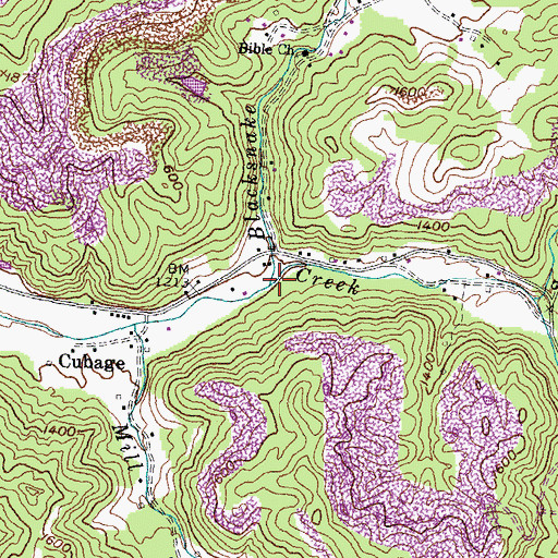 Topographic Map of Blacksnake Branch, KY