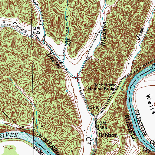Topographic Map of Bledsoe Creek, KY