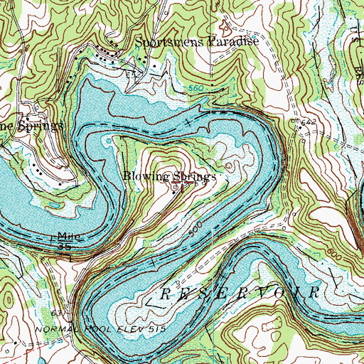 Topographic Map of Blowing Springs, KY